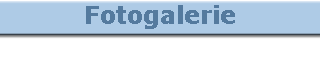 Fotogalerie