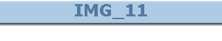 IMG_11