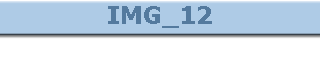 IMG_12