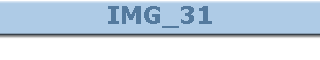 IMG_31