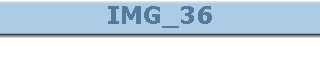 IMG_36